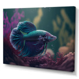 Magnificent Bettafish In Shades Of Blue And Purple VI