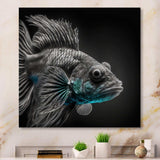 Mysterious Tropical Blue Fish In Tones Of Blue II