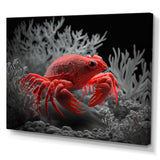 Red Deepsea Crab In Red And Black I