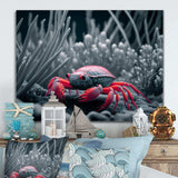 Red Deepsea Crab In Red And Black III