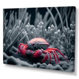 Red Deepsea Crab In Red And Black IV