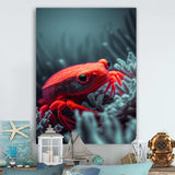 Red Deepsea Crab In Red And Black V