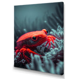 Red Deepsea Crab In Red And Black V