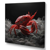 Red Deepsea Crab In Red And Black VI