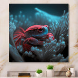 Red Crab In Shades Of Black And Blue III