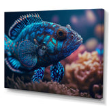 Beautiful Mandarin Fish In Shades Of Blue III