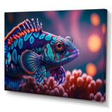 Beautiful Mandarin Fish In Shades Of Purple