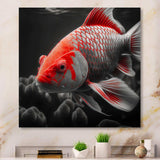 Black And Red Tropical Fish I