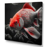 Black And Red Tropical Fish I