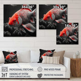 Black And Red Tropical Fish I