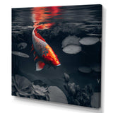 Black And Red Tropical Fish II