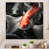 Black And Red Tropical Fish V