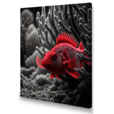 Black And Red Tropical Fish VII