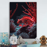 Tropical Fish In Shades Of Red And Blue II