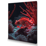 Tropical Fish In Shades Of Red And Blue II