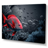 Tropical Fish In Shades Of Red And Blue IV