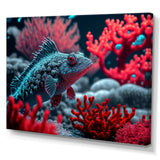 Tropical Fish In Blue And Red I