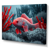 Tropical Fish In Blue And Red II