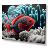 Tropical Fish In Blue And Red III