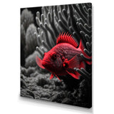 Black And Red Tropical Fish IX