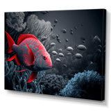 Tropical Fish In Blue And Red IV