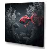 Black And Red Tropical Fish X