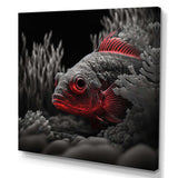 Mysterious Tropical Fish In Blue And Red III