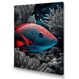 Mysterious Tropical Fish In Blue And Red IV