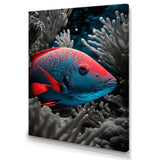 Mysterious Tropical Fish In Blue And Red V