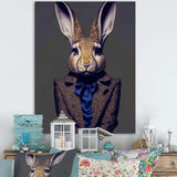 Fancy Rabbit In A Gray And Blue Suit