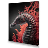 Seahorse In Red And Black