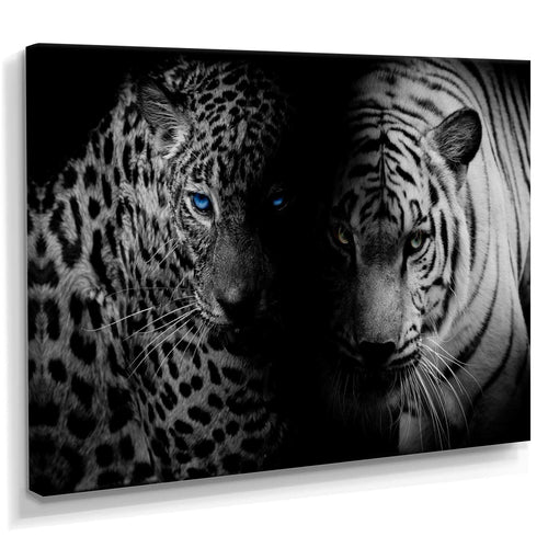 Leopard and Tiger in Black