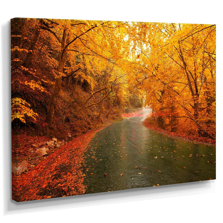 Autumn Light Trails on Road