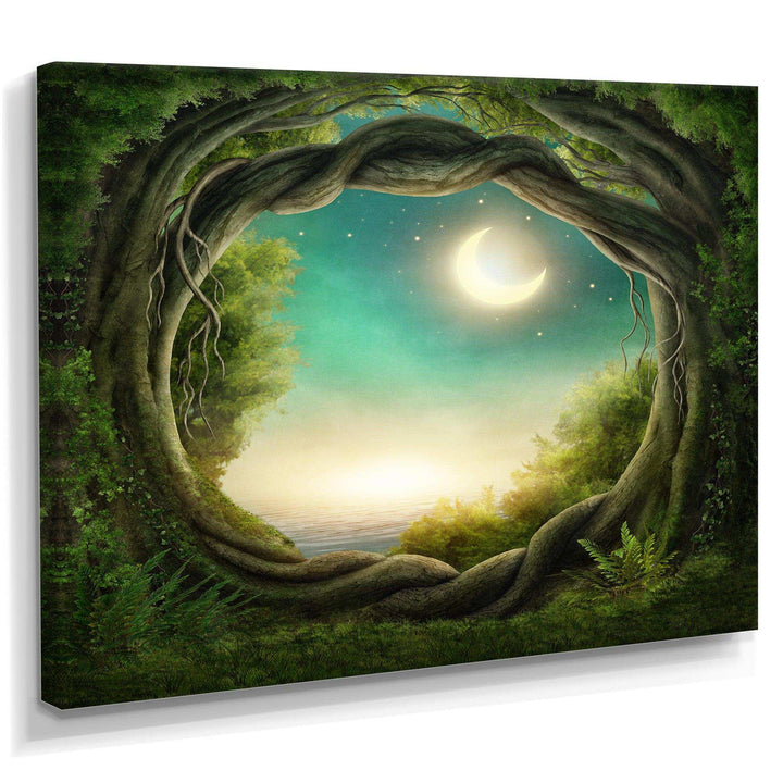 Enchanted Dark Forest