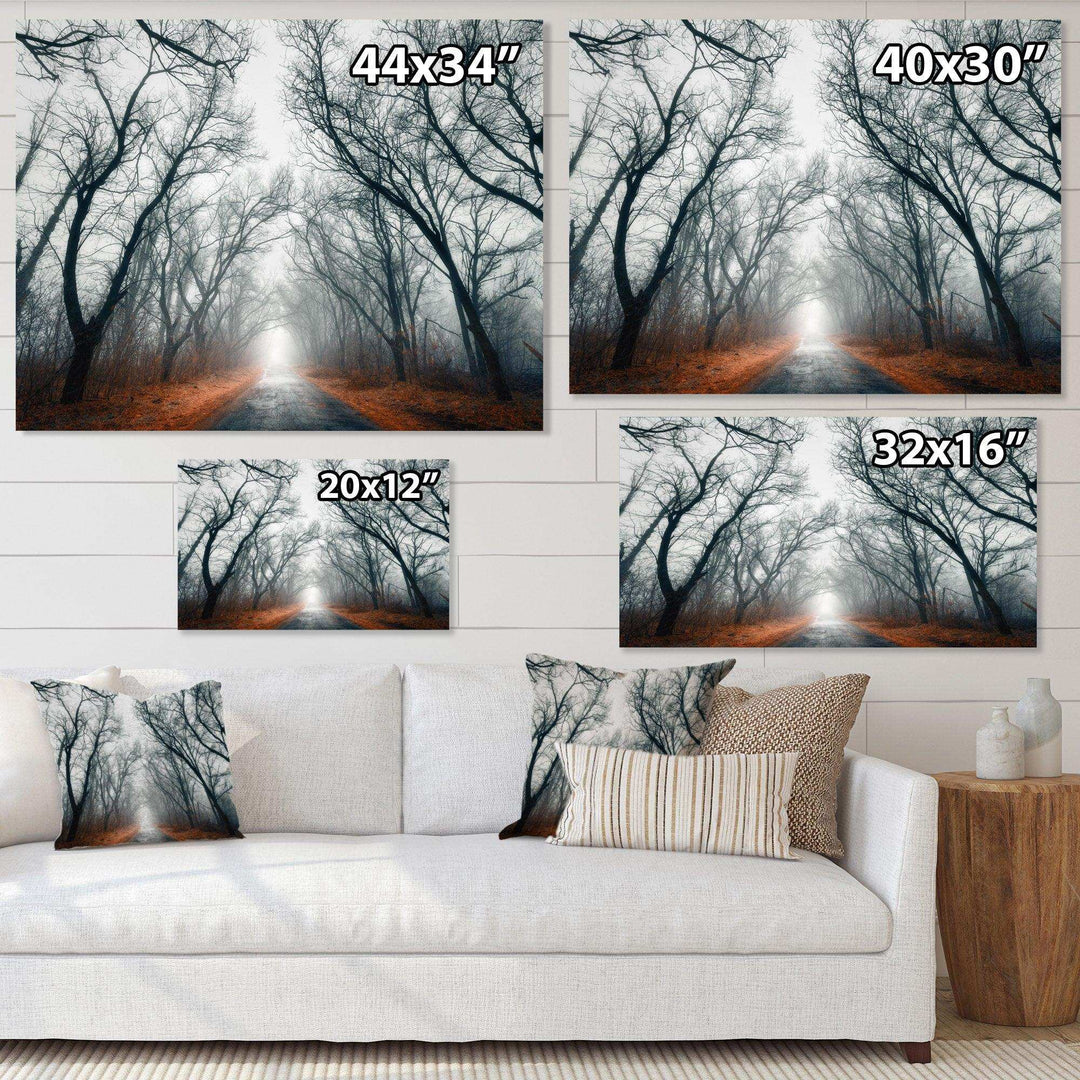 Mystic Road in Forest