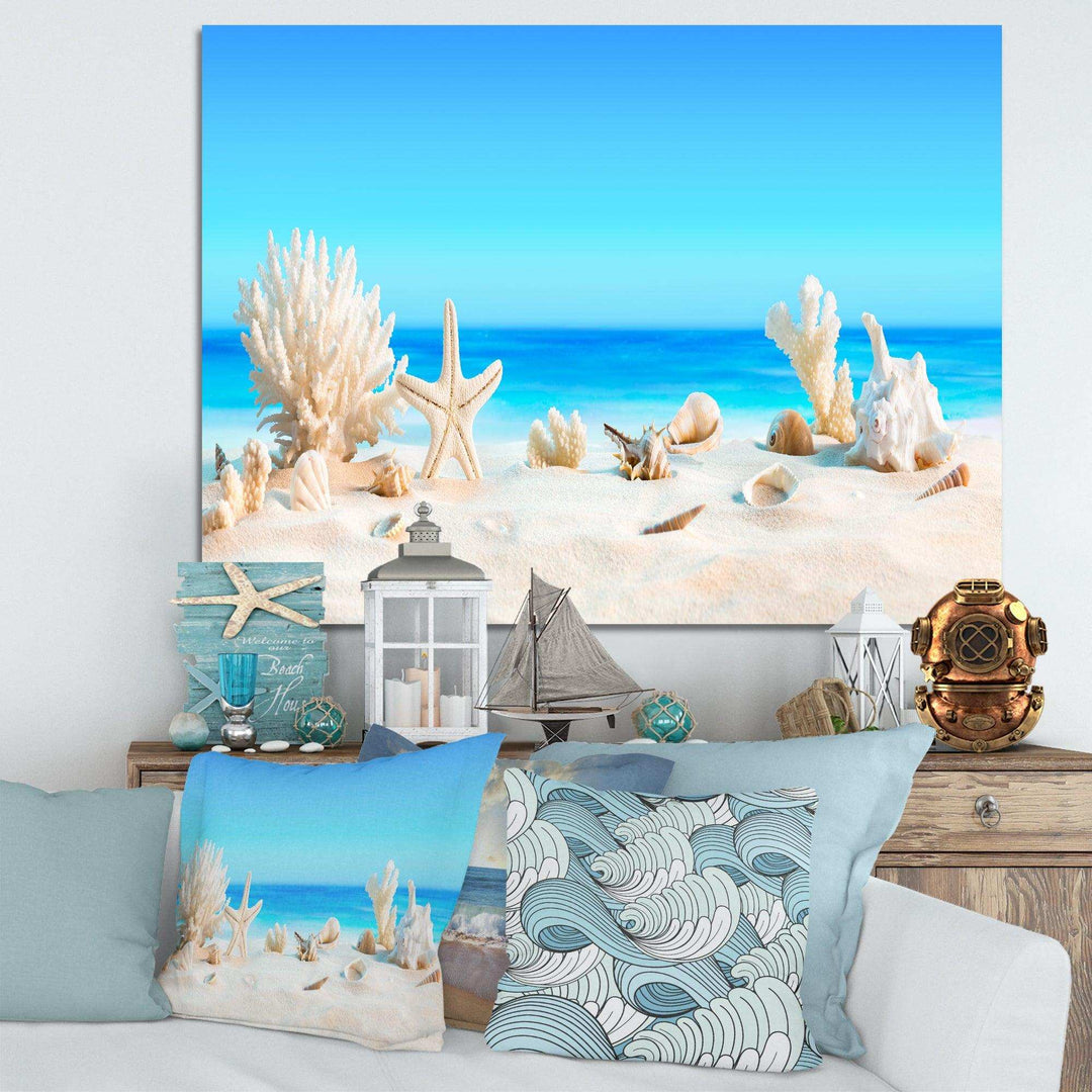 Seashells on Tropical Beach