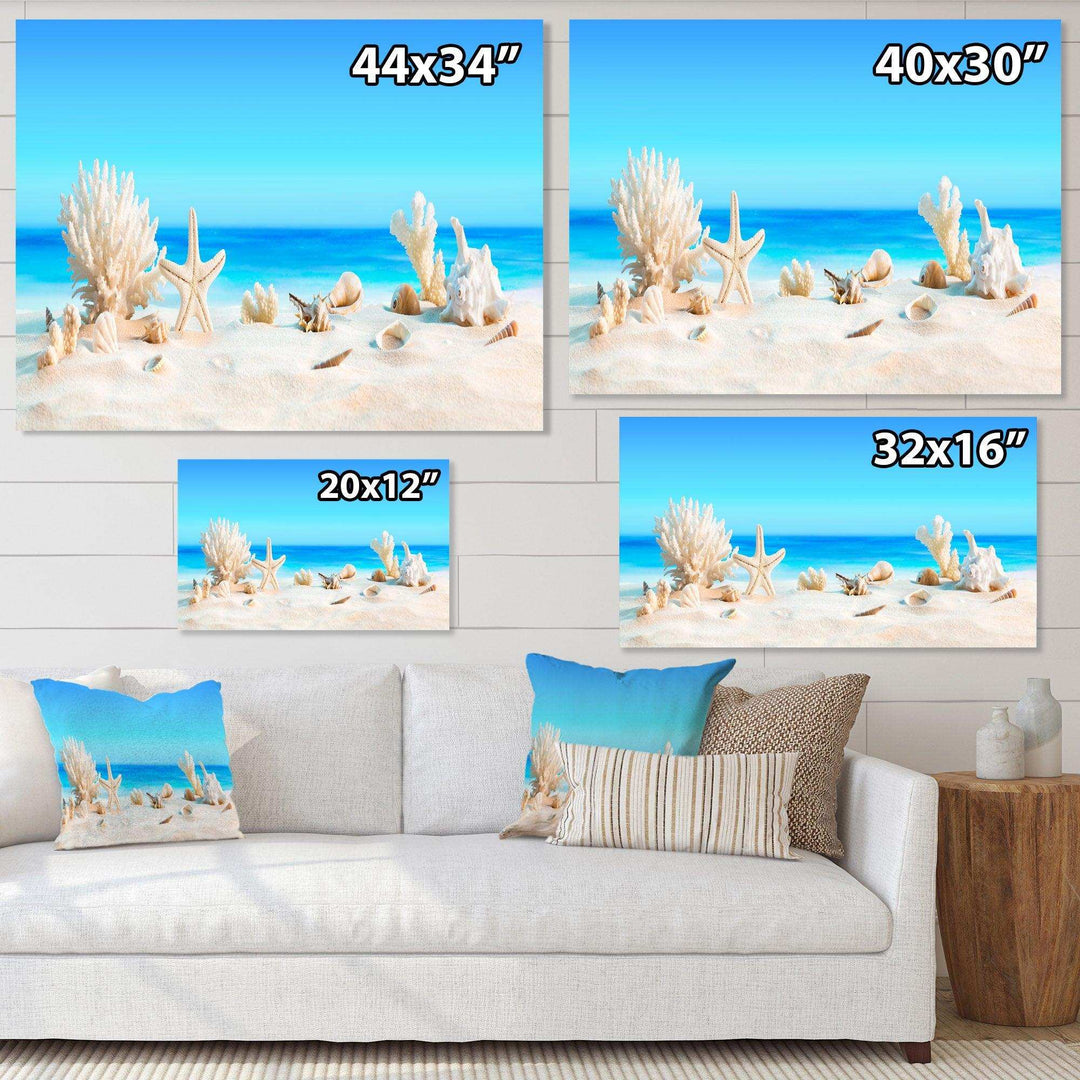 Seashells on Tropical Beach