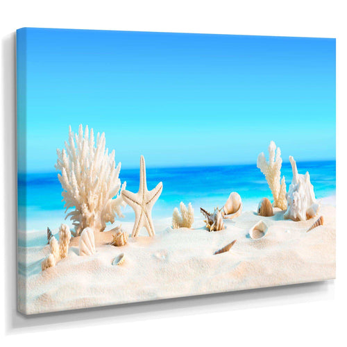 Seashells on Tropical Beach