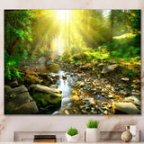 Mountain Stream in Forest