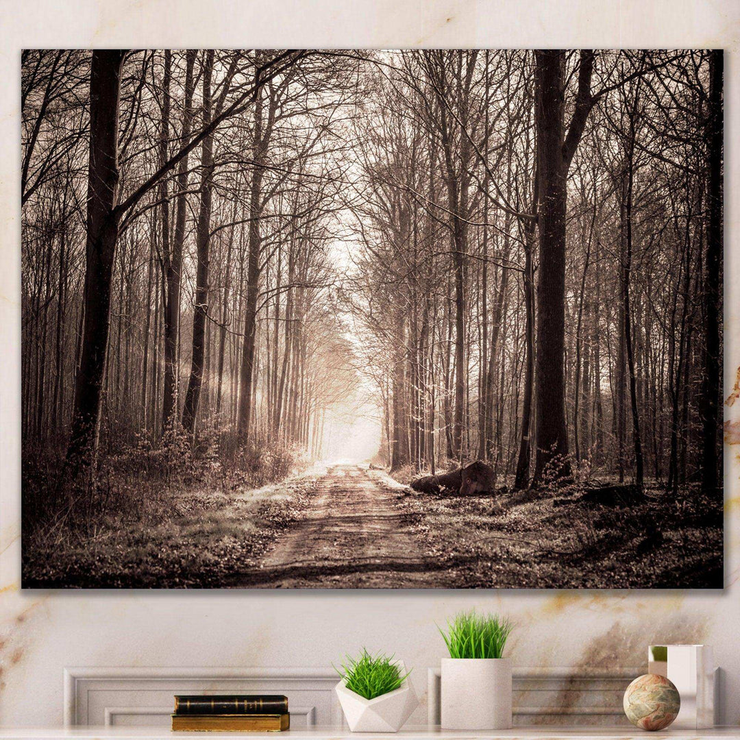 Forest Trail in Sepia