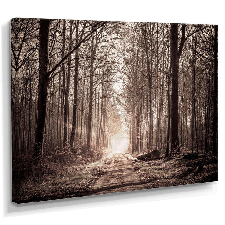 Forest Trail in Sepia