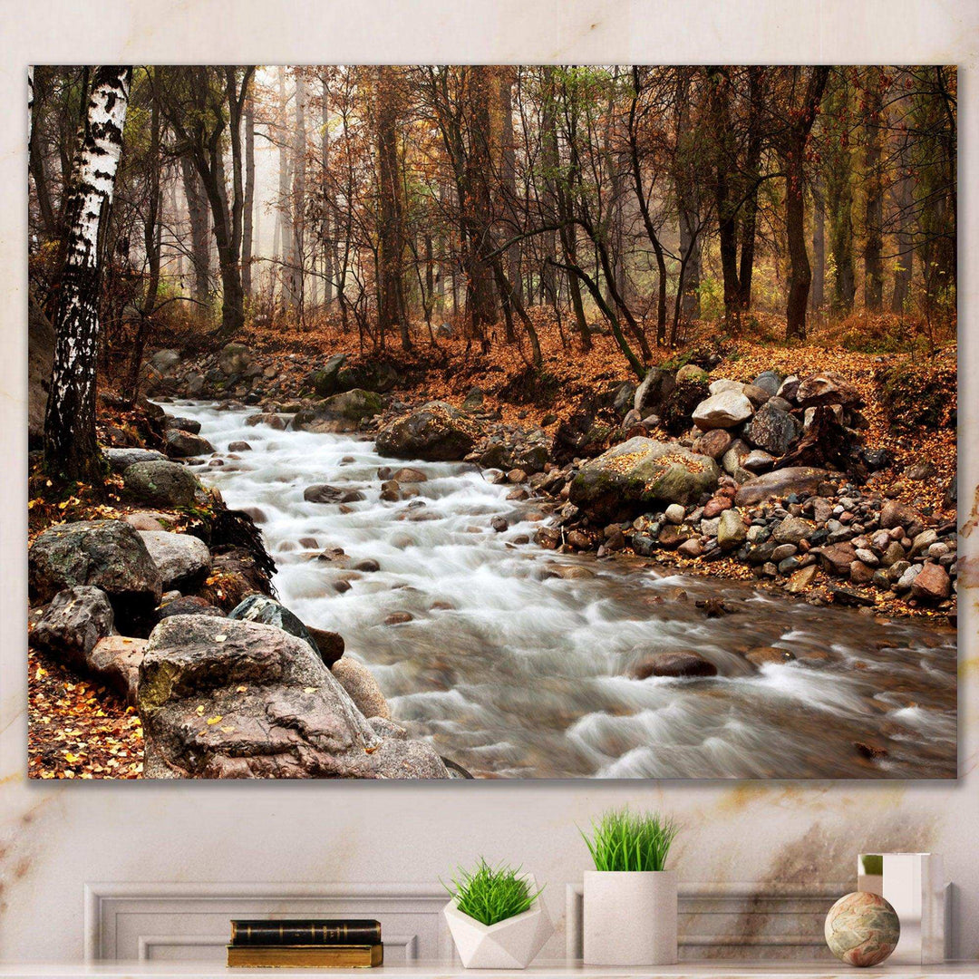 Stream in Autumn Forest