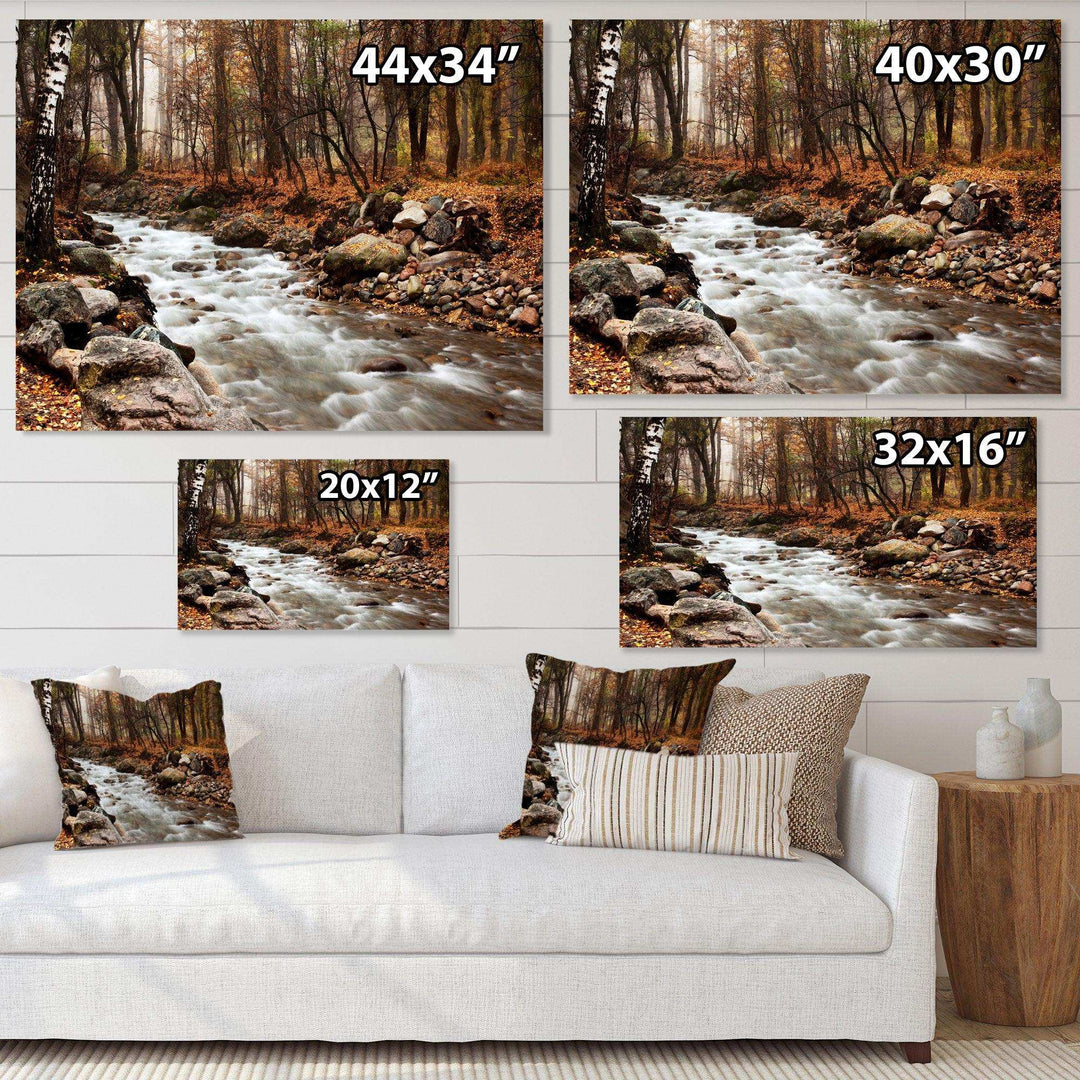 Stream in Autumn Forest