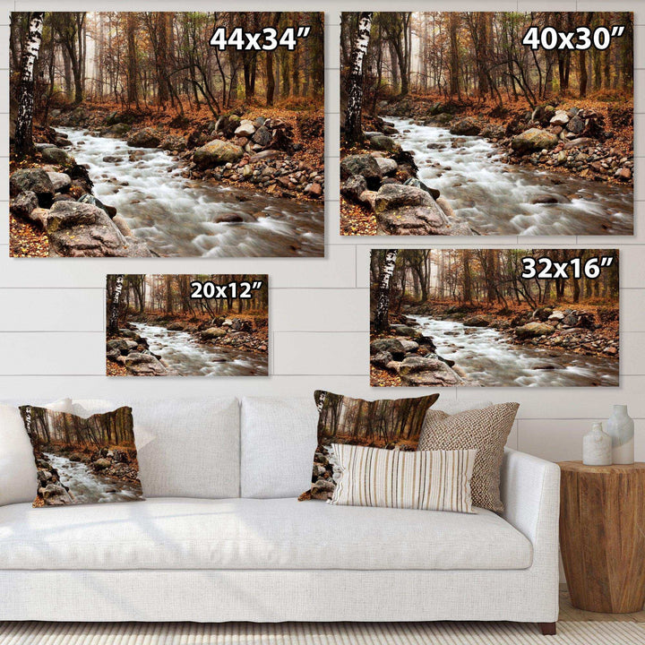 Stream in Autumn Forest