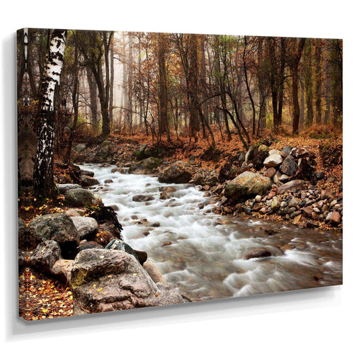 Stream in Autumn Forest