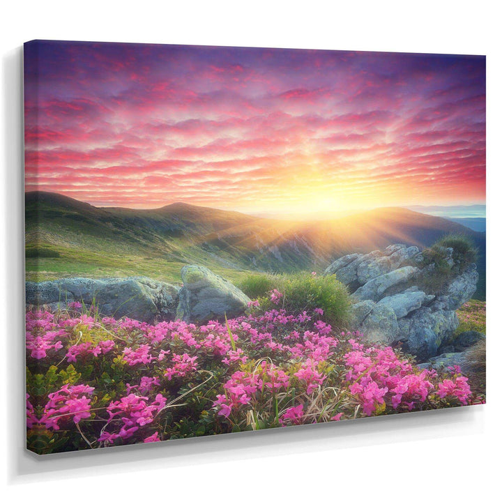 Morning with Flowers in Mountains