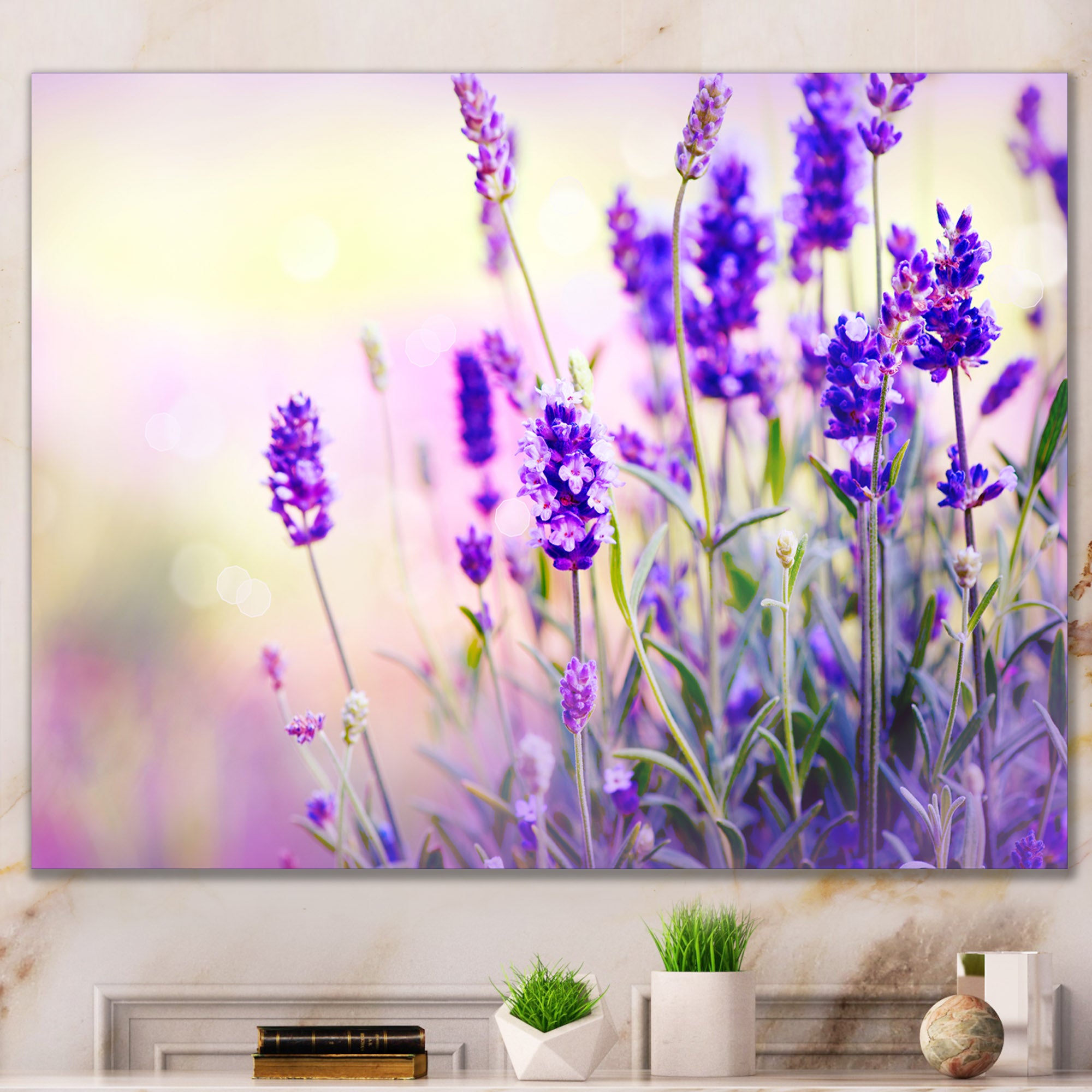 Purple Lavender Field