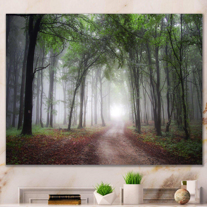 Light Through Green Fall Forest