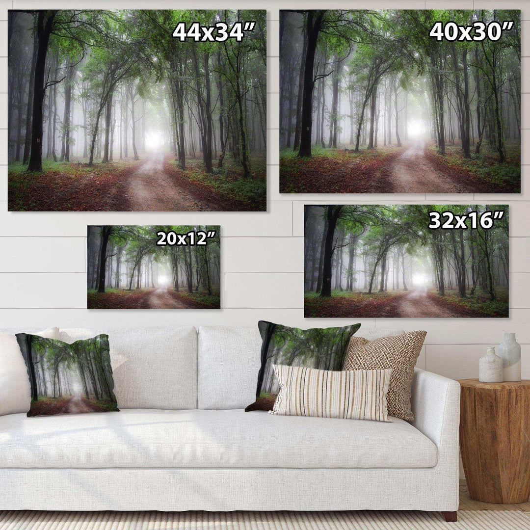 Light Through Green Fall Forest