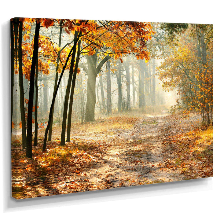 Bright Yellow Fall Morning